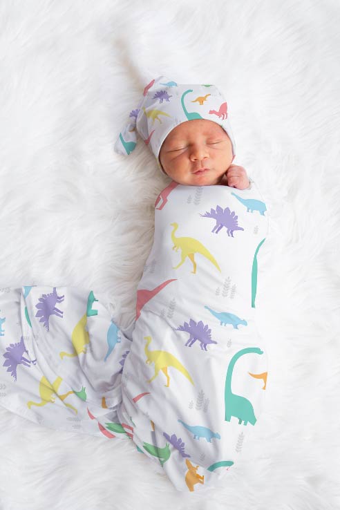 Soft Pastel Dino Swaddle image 0